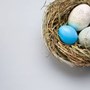 A birds eye view image of a bird's nest with three brightly coloured eggs nestled inside.