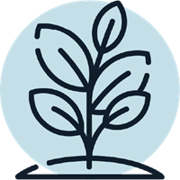 An icon of a plant with five leaves, in Wealthify's blue colour theme